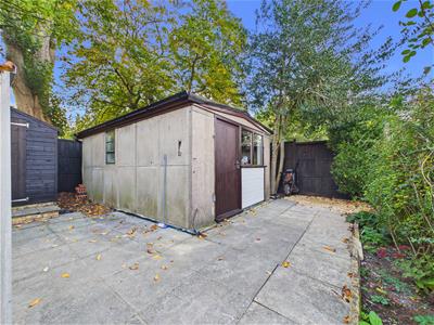 Picture 23
